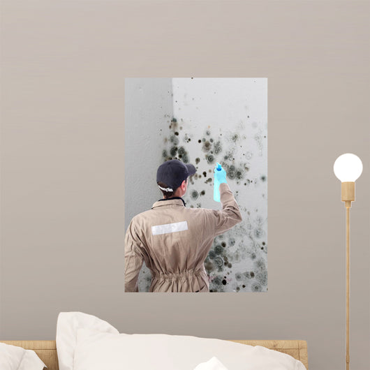 Mold removal by a specialist Wall Mural