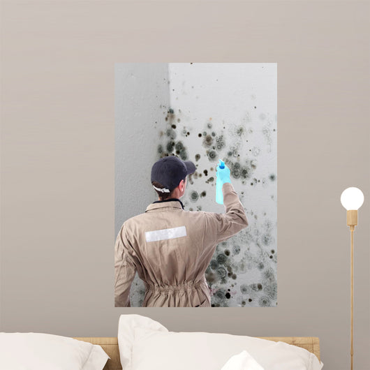 Mold removal by a specialist Wall Mural