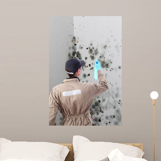 Mold removal by a specialist Wall Mural