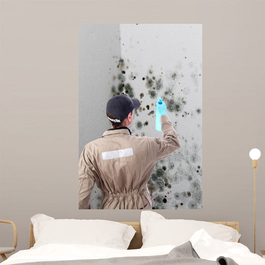 Mold removal by a specialist Wall Mural