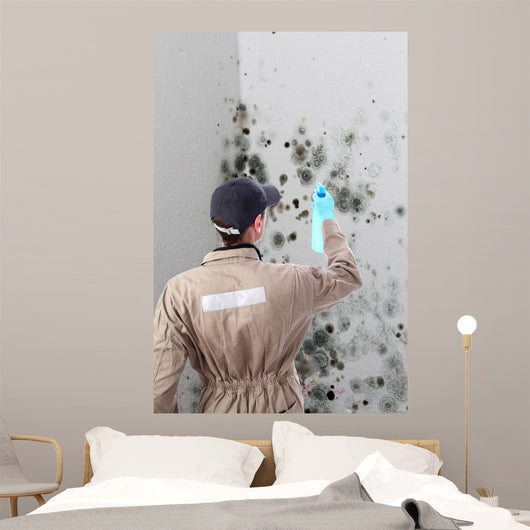 Mold removal by a specialist Wall Mural