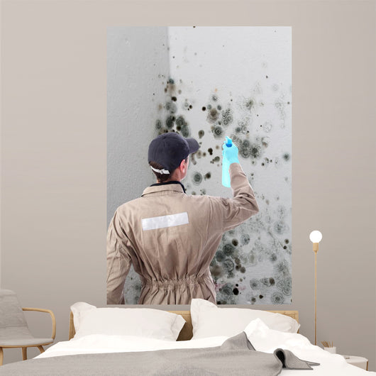 Mold removal by a specialist Wall Mural