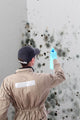 Mold removal by a specialist Wall Mural