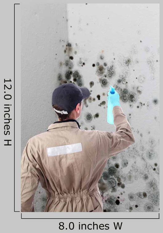 Mold removal by a specialist Wall Mural