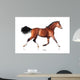 Bay Horse White Wall Decal