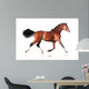 Bay Horse White Wall Decal