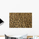 Drought Wall Decal