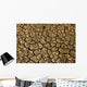 Drought Wall Decal