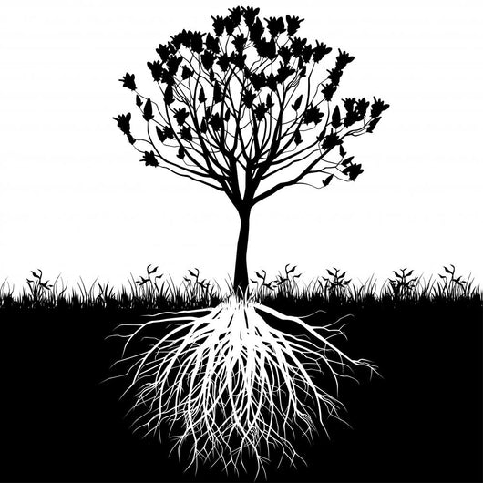 Tree Roots Silhouette