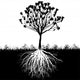 Tree Roots Silhouette