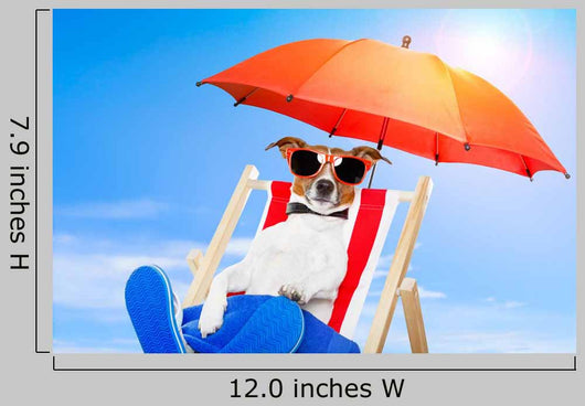 Dog Sunbathing Deck Chair