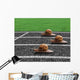 Snails Race Sports Track