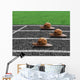 Snails Race Sports Track