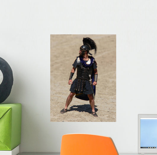 Gladiator Wall Mural