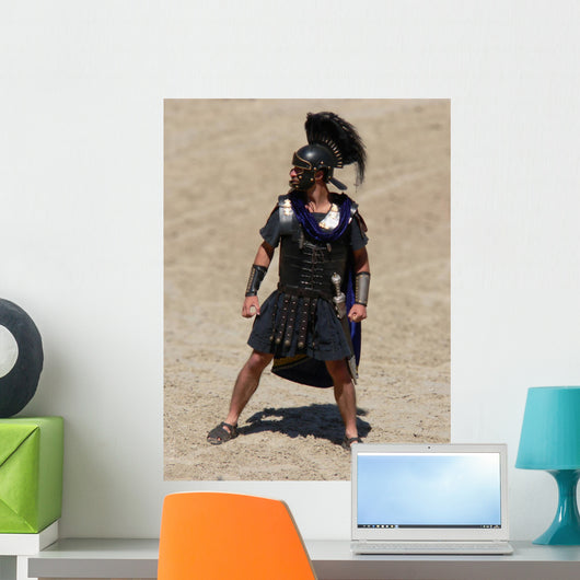 Gladiator Wall Mural