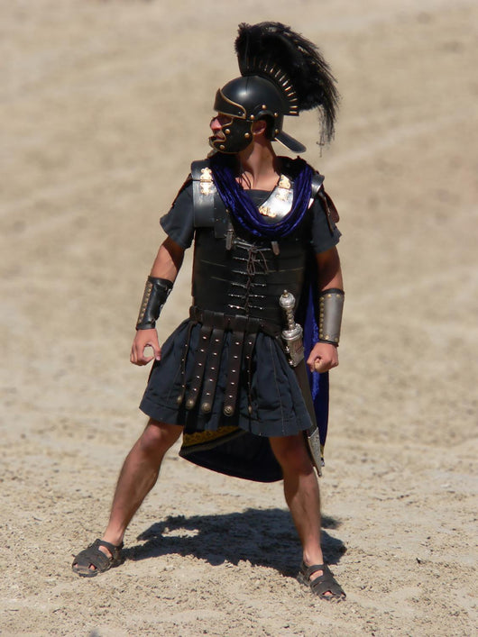 Gladiator Wall Mural