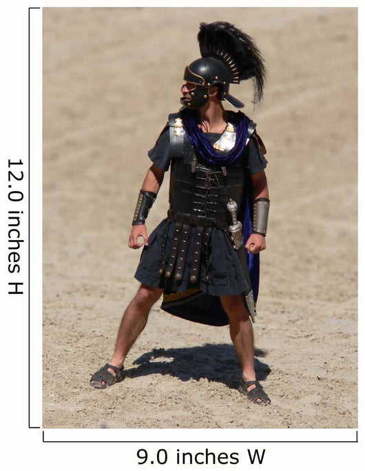 Gladiator Wall Mural