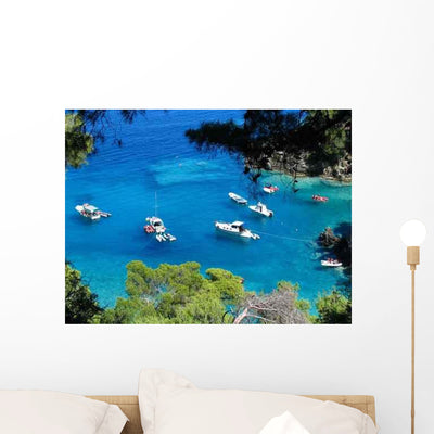 Tremity Boats Wall Decal shown on a wall