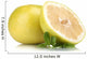 Pomelo or Chinese grapefruit isolated on white Wall Decal