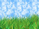 Green Grass Home Blue Wall Decal