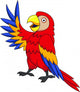 Funnny Parrot Cartoon Wall Decal