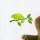 Chameleon cartoon Wall Decal