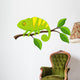 Chameleon cartoon Wall Decal