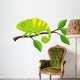 Chameleon cartoon Wall Decal