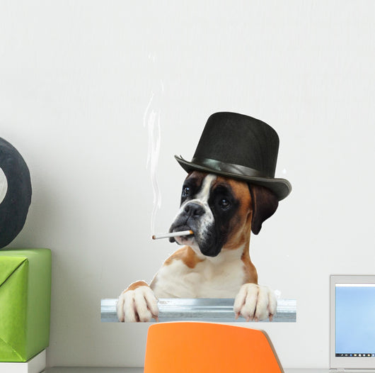 Boxer 294 Wall Decal