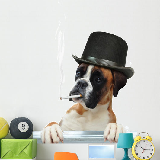 Boxer 294 Wall Decal