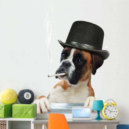 Boxer 294 Wall Decal