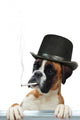 Boxer 294 Wall Decal