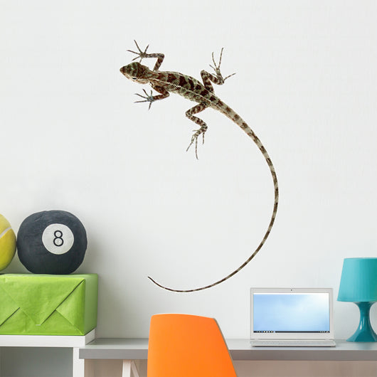 Lizard Wall Mural