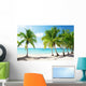 Caribbean Sea and Coconut