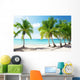 Caribbean Sea and Coconut