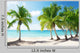 Caribbean Sea and Coconut