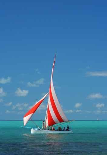 Regatta Wall Decal