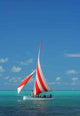Regatta Wall Decal