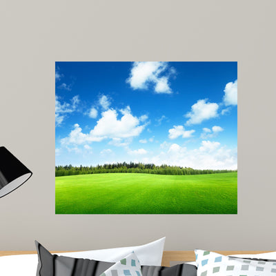 Field Grass and Perfect shown on a wall