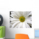 White Daisy Wall Mural