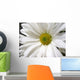White Daisy Wall Mural