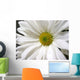 White Daisy Wall Mural