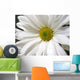 White Daisy Wall Mural