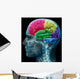 Colored sections of a male human brain ,x ray concept. Wall Mural