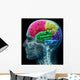 Colored sections of a male human brain ,x ray concept. Wall Mural