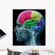 Colored sections of a male human brain ,x ray concept. Wall Mural