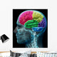 Colored sections of a male human brain ,x ray concept. Wall Mural
