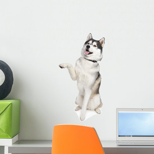 Siberian Husky Wall Decal