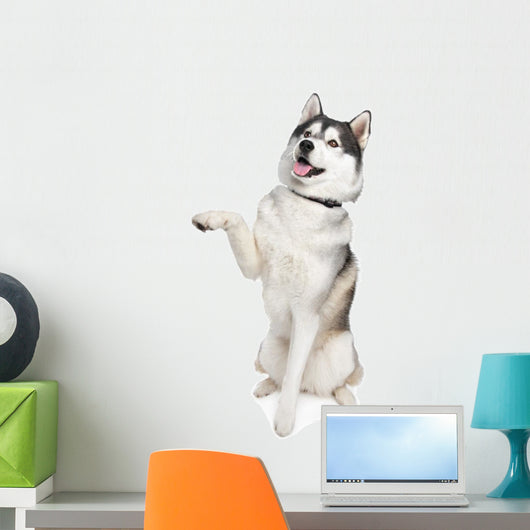 Siberian Husky Wall Decal