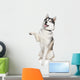 Siberian Husky Wall Decal